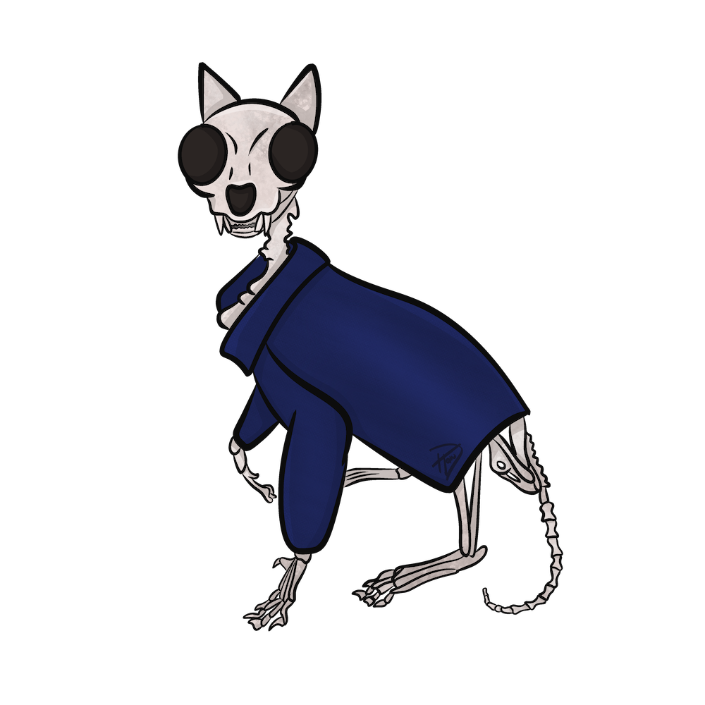 Ms Rosebloom